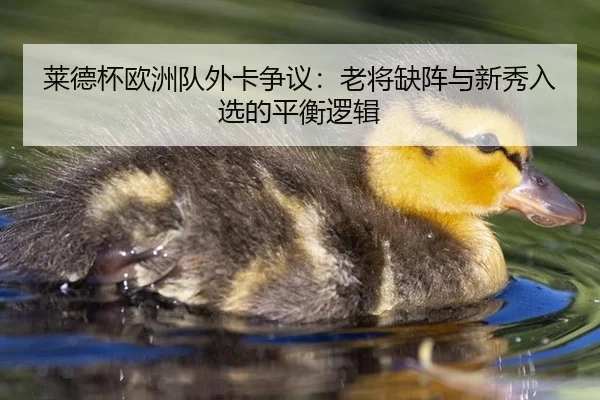莱德杯欧洲队外卡争议：老将缺阵与新秀入选的平衡逻辑